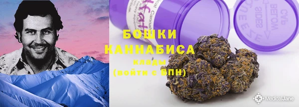 гидропоника Бородино
