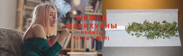 гидропоника Бородино