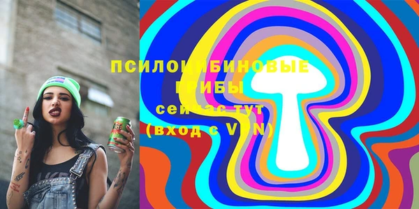 хмурый Бронницы