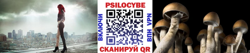Купить закладки  Мценск  Псилоцибиновые грибы MAGIC MUSHROOMS 